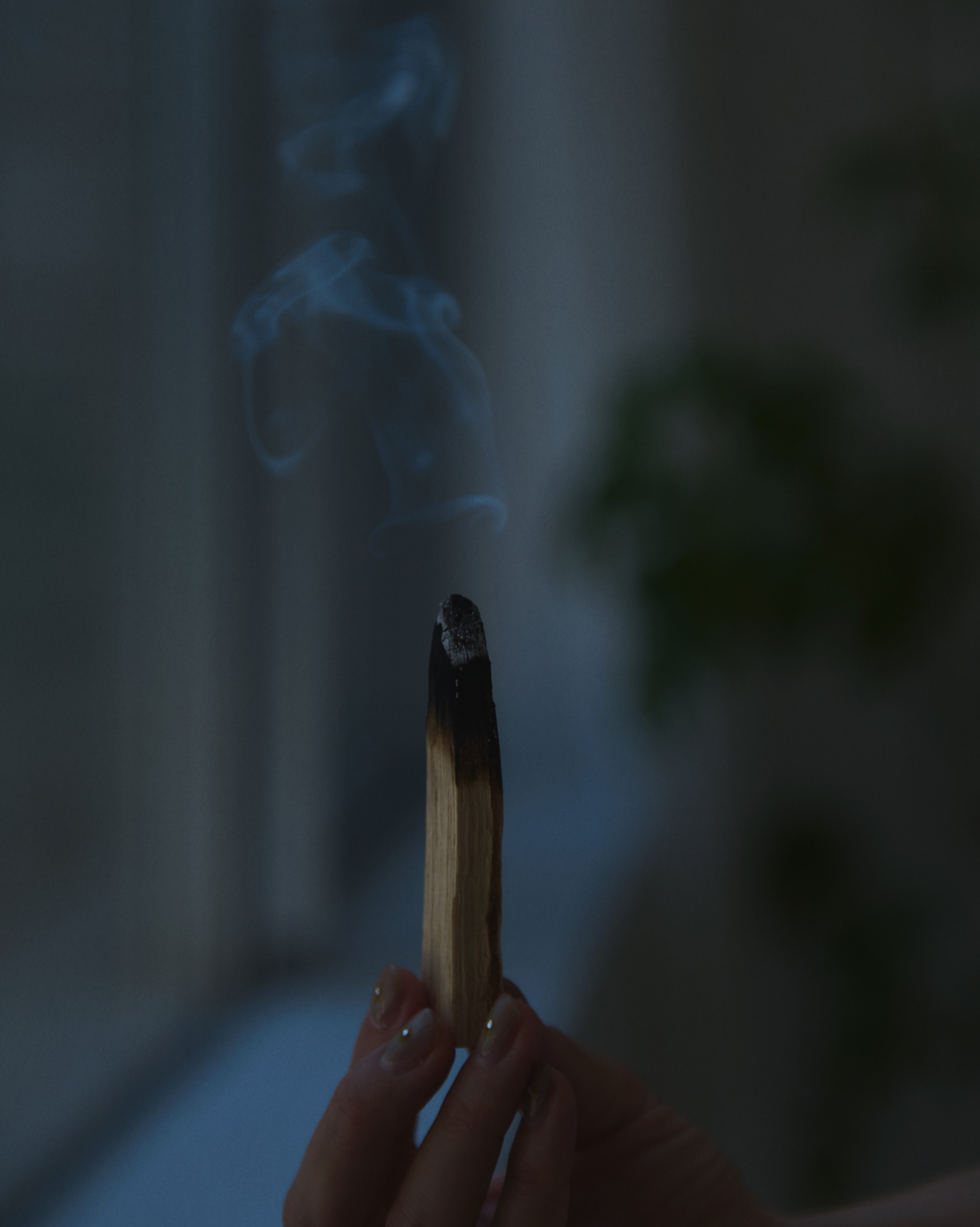Palo santo smoke rising in still evening light